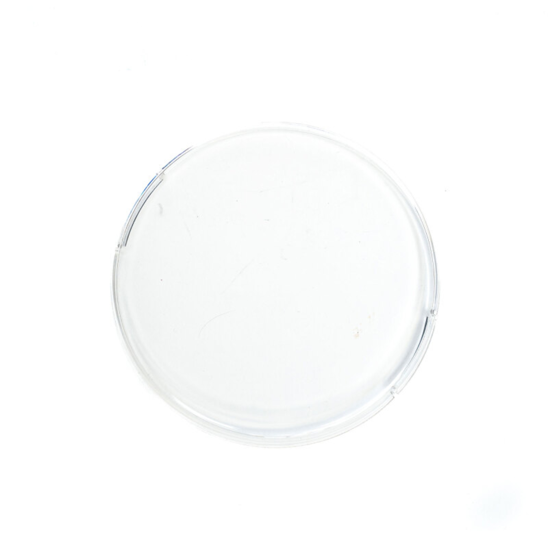 Picture of Baja Designs Squadron-R 2.0 Rock Guard (Single) - Clear