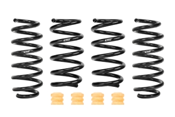 Picture of Pro-Kit Lowering Springs
