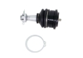 Picture of Whiteline 05-21 Nissan Frontier Fixed Offset UCA Replacement Ball Joint Kit