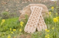 Picture of DV8 Offroad DV8 Xtract Traction Boards | Pair | Tan