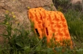 Picture of DV8 Offroad DV8 Xtract Mini Traction Board | Pair | Orange