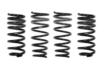 Picture of Pro-Kit Lowering Springs