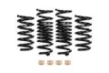 Picture of Pro-Kit Lowering Springs