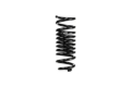 Picture of Pro-Kit Lowering Springs