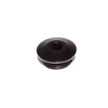 Picture of ALUMINUM PORT PLUG, -12AN