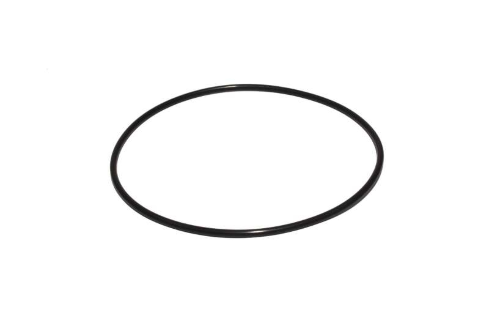 Picture of O-RING, FOR LS BLOCK THRUST PLATE # 549120