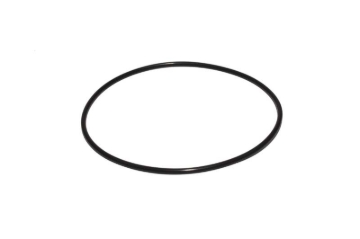 Picture of O-RING, FOR LS BLOCK THRUST PLATE # 549120