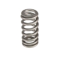 Picture of VALVE SPRING, .600 LIFT