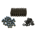 Picture of VALVE SPRING KIT, FORD POWER S TROKE 6.0/6.4