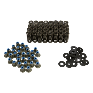Picture of VALVE SPRING KIT, FORD POWER S TROKE 6.0/6.4