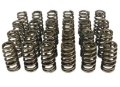Picture of Comp Cams Beehive Springs, Harley 1.445In