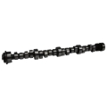 Picture of CAMSHAFT, OL XR262HR-10