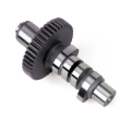 Picture of HARLEY CAM, EVL 224/224 R102
