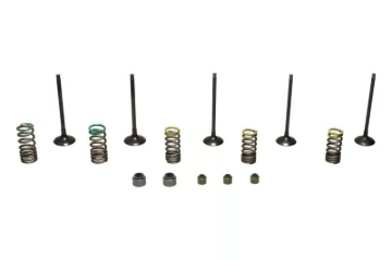 Picture of Wiseco 01-13 Yamaha YZ250F Steel Valve Set