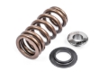 Picture of APR Audi/Bentley/Lamborghini/Porsche/Volkswagen Valve Spring Kit - Single