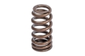 Picture of APR Audi/Bentley/Lamborghini/Porsche/Volkswagen Valve Spring Kit - Single