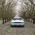 Picture of Oracle 08-14 Dodge Challenger LED Projector Headlight Halo Kit - Green