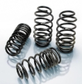 Picture of Pro-Kit Lowering Springs