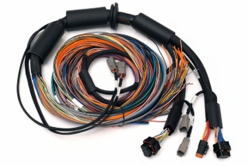 Picture of Haltech NEXUS R3 Universal Wire-In Harness - 2.5M (8ft)