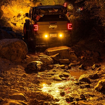 Picture of Nacho Lighting Quatro Flush Mount