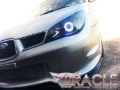 Picture of Oracle Subaru WRX / STi 06-07 Halo Kit - Blue