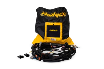 Picture of Haltech NEXUS Rebel LS Terminated Harness for ECU