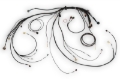 Picture of Haltech NEXUS Rebel LS Terminated Harness for ECU