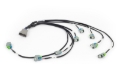 Picture of Haltech NEXUS Rebel LS EV6 Injector Sub-Harness