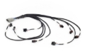 Picture of Haltech NEXUS Rebel LS Multec 2 Injector Sub-Harness