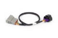 Picture of Haltech NEXUS Rebel LS 8-Pin DBW Adaptor
