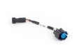 Picture of Haltech NEXUS Rebel LS Gen IV Oil Pressure Sensor Adaptor Harness
