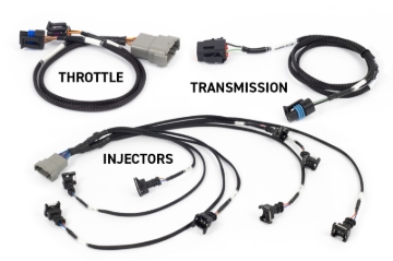 Picture of Haltech NEXUS Rebel LS Gen III Cable Throttle/EV1 Injectors/Manual Transmission