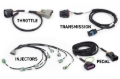 Picture of Haltech NEXUS Rebel LS Gen IV 6-Pin DBW Throttle/EV6 Injectors/Manual Transmission