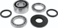 Picture of QuadBoss 2021 Polaris RZR Pro XP Front Differential Bearing & Seal Kit