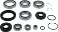 Picture of QuadBoss 15-19 Honda TRX500FA FourTrax Foreman Rubicon 4x4 AT Front Differential Bearing & Seal Kit