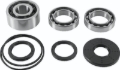 Picture of QuadBoss 2017 Polaris RZR 4 900 (02) Front Differential Bearing & Seal Kit