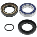 Picture of QuadBoss QBS Wheel Bearings - 413831
