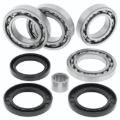 Picture of QuadBoss 13-15 Arctic Cat Wildcat 1000 Rear Differential Bearing & Seal Kit