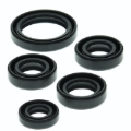 Picture of QuadBoss QBS Seals C Gasket Kits - 564091