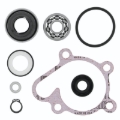 Picture of QuadBoss QBS Water Pumps B - 565273