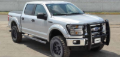 Picture of Go Rhino 15-17 Ford F-150 (Excl. ACC Models) 3000 Series StepGuard Center Grille + Brsh Grd - Chrome