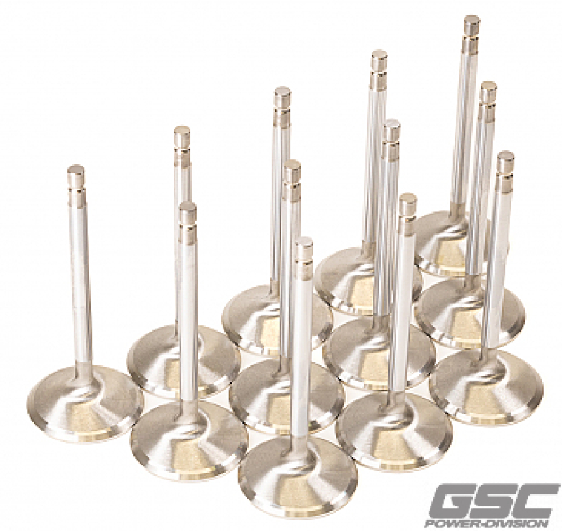 Picture of GSC Power Division GSC Intake Valve Sets +1mm - 2058-12