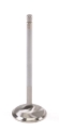 Picture of GSC P-D Nissan VR30DDTT 33.3mm Head STD 101.1mm Long Intake Valve - Single