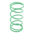 Picture of Athena BSV DIO GP 50 25Kg Green Contrast Spring (Bore 50mm)