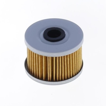 Picture of Athena 05-08 Beta RR 450 4T Oil Filter