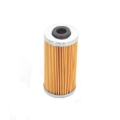 Picture of Athena 09-10 BMW G 450 X 450 Oil Filter