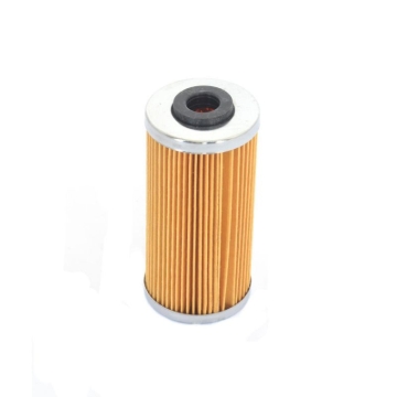Picture of Athena 09-10 BMW G 450 X 450 Oil Filter