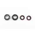Picture of Athena ATH Bearing & Oil Seal Kits Oil Maintenance Kits - P400105444050