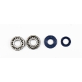 Picture of Athena ATH Bearing & Oil Seal Kits Oil Maintenance Kits - P400130444001