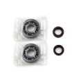 Picture of Athena ATH Bearing & Oil Seal Kits Oil Maintenance Kits - P400480444001